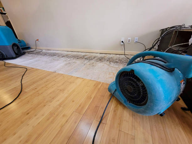 Professional Emergency Water Damage technician working in North Robinson, OH